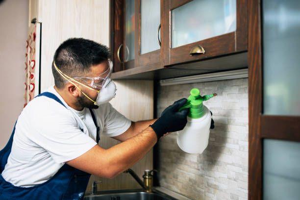 Trusted Middleport, NY Pest Control Experts