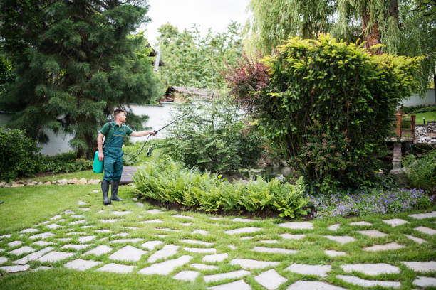 Best Residential Pest Control  in Middleport, NY