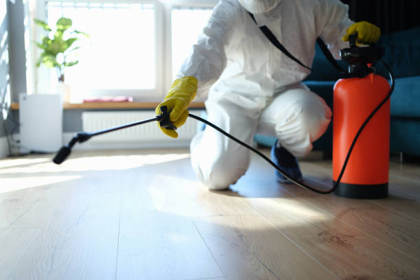 Best Termite Control Services  in Middleport, NY