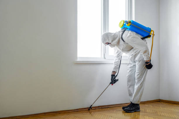 Best Insect Control  in Middleport, NY