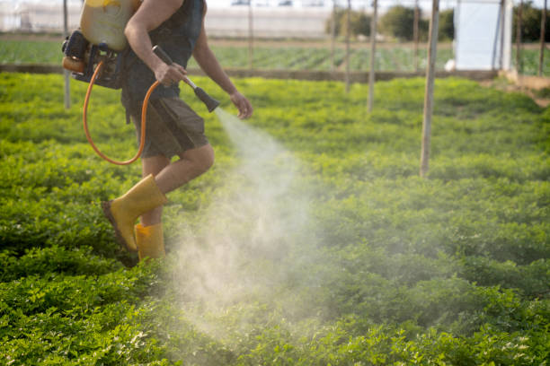 Best Exterminator Services  in Middleport, NY