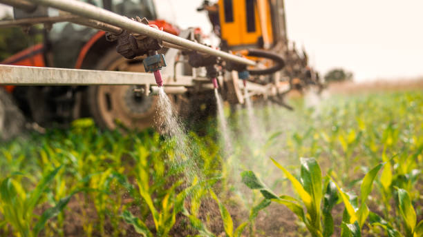 Best Pest Prevention Services  in Middleport, NY