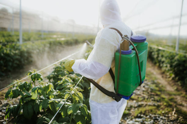 Best Pest Control Near Me  in Middleport, NY